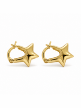 Aros colgante forma estrella