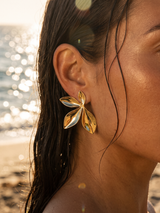 aros hojas en abanico - Buono Joyas