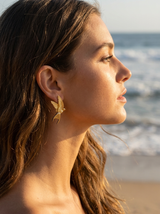 Aretes Golondrina Dorada