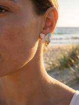 Aretes Mariposa Dorada