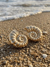 Aros Nautilus Dorado