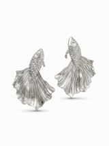 Aros Pez Betta